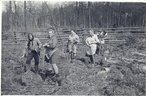 Sadzenie lasu - lata 60. XX wieku